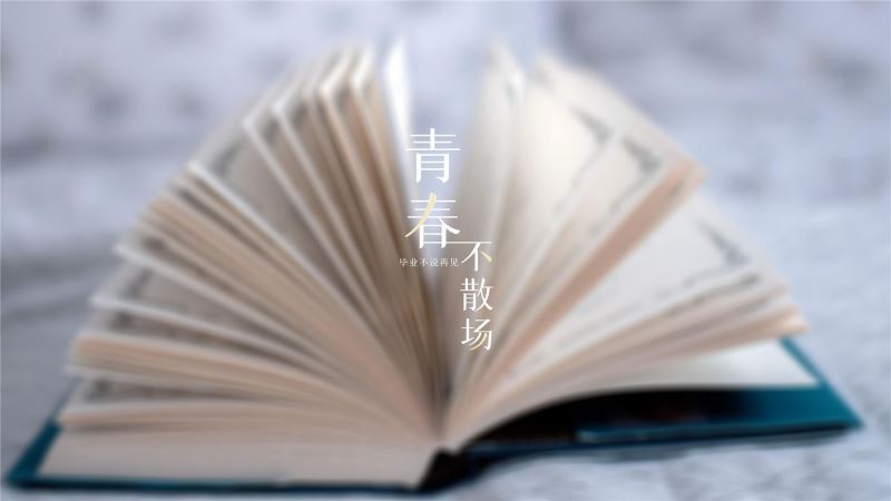 女孩文静诗意的名字